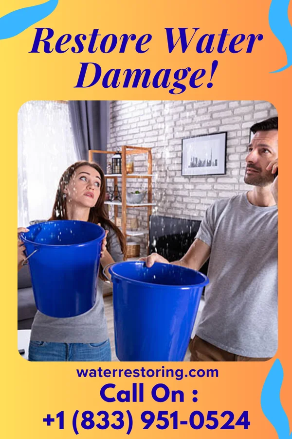 water restoration Horizon Water Removal Masters Gause